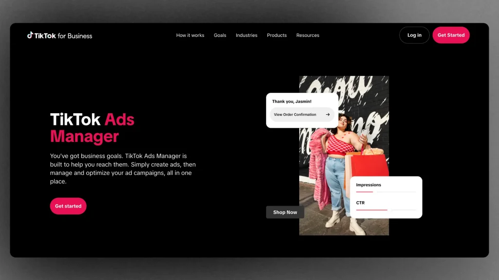 TikTok Ads Manager Website